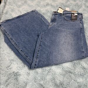 Levi's Women's Blue Jeans